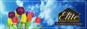 EHC-Standard-Tulips-Header